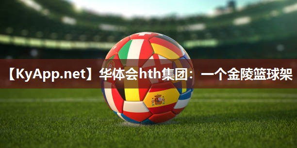 华体会hth集团：一个金陵篮球架