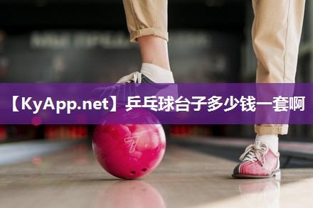 乒乓球台子多少钱一套啊