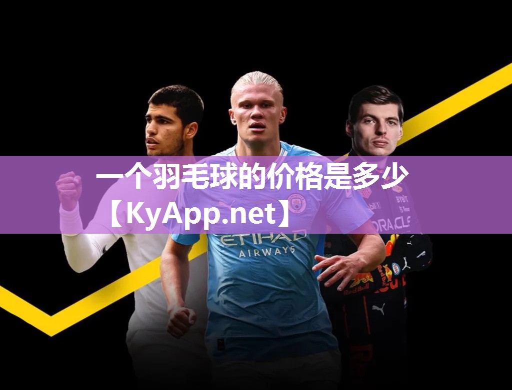 一个羽毛球的价格是多少