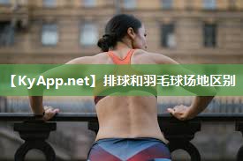 排球和羽毛球场地区别