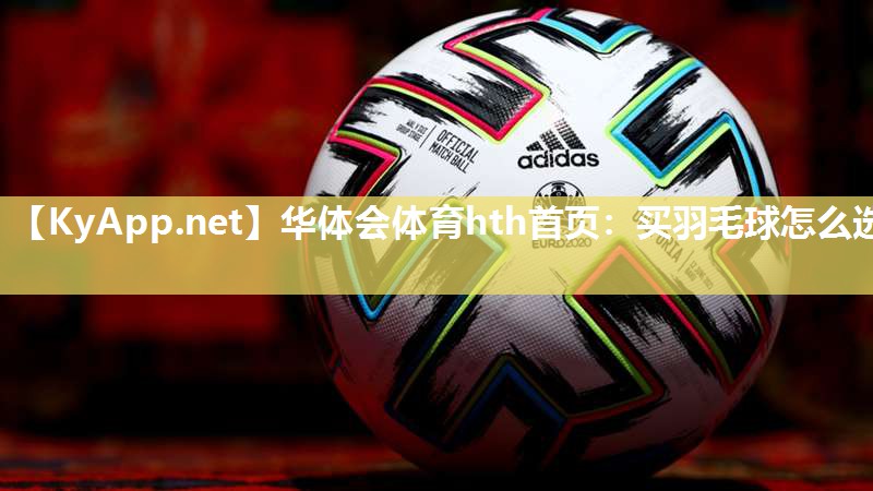 买羽毛球怎么选