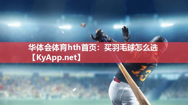 买羽毛球怎么选