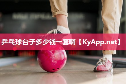 乒乓球台子多少钱一套啊
