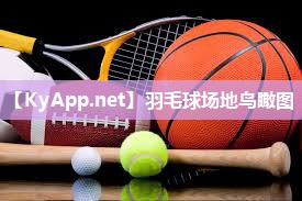 羽毛球场地鸟瞰图