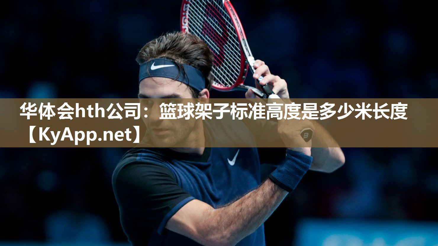 篮球架子标准高度是多少米长度