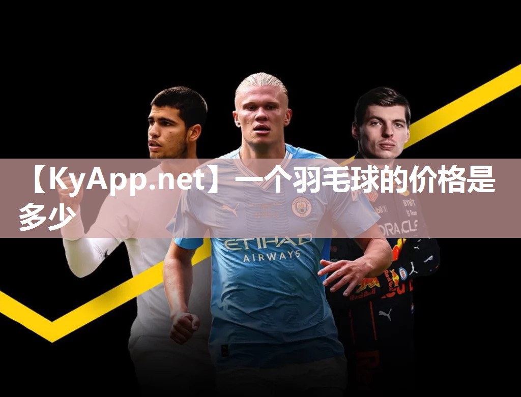 一个羽毛球的价格是多少