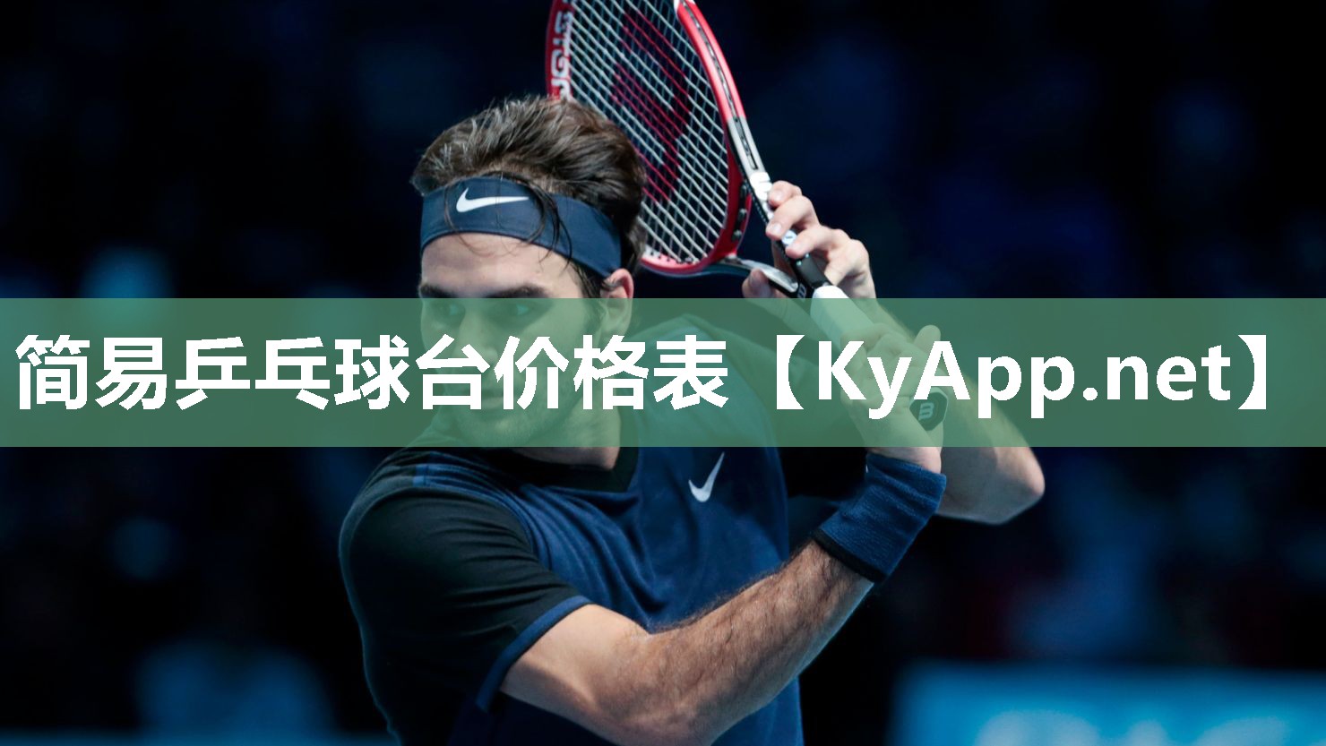 简易乒乓球台价格表