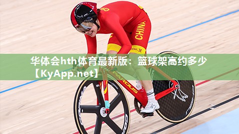 篮球架高约多少